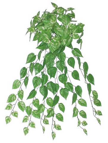 34.75 in. Decorative Artificial Green & White Pothos Plant Spring Floral Bush