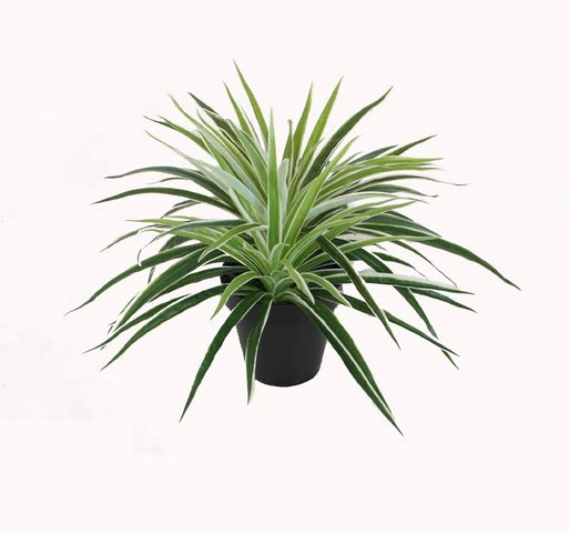 12 in. Decorative Artificial Potted Two Tone Green & White Grass Plant with Black Pot