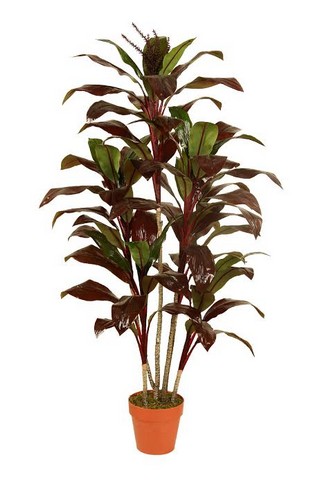 59.75 in. Decorative Potted Artificial Brown Red & Green Dracaena Plant
