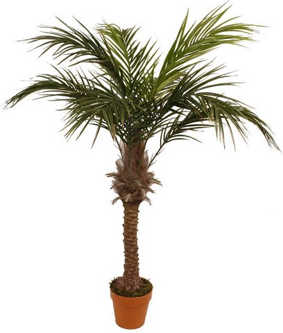 58.5 in. Decorative Potted Artificial Brown & Green Phoenix Palm Tree