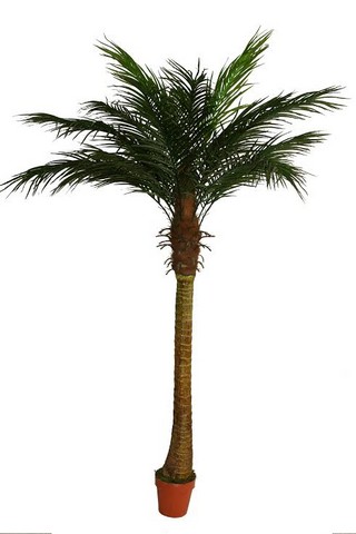 6 ft. Decorative Potted Artificial Brown & Green Phoenix Palm Tree