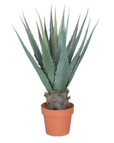 31.5 in. Decorative Potted Artificial Green Agave Americana Succulent Plant