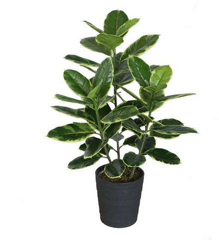 Northlight 35" Potted Green Artificial Rubber Plant