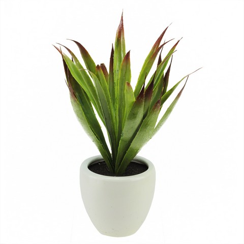 13.5 in. Artificial Green & Red Agave Succulent Plant in a Decorative White Pot
