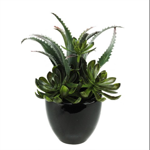 11 in. Artificial Mixed Green & Red Succulent Plants in a Decorative Shiny Black Pot