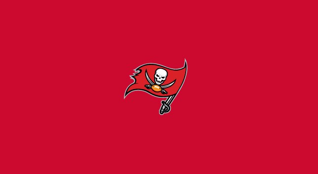 Picture of Imperial 52-1009 NFL Tampa Bay Buccaneers Pool Felt 8 ft. Billiard Cloth