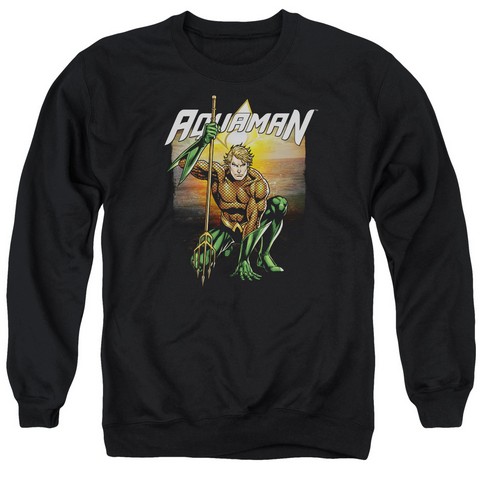 Jla-Beach Sunset Adult Crew Sweat Tee- Black - 3X
