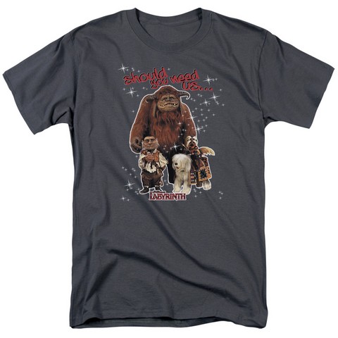 Labyrinth-Should You Need Us Short Sleeve Adult 18-1 Tee- Charcoal - Medium