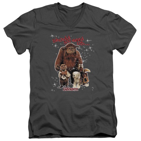Labyrinth-Should You Need Us Short Sleeve Adult V-Neck 30-1 Tee - Charcoal - Medium