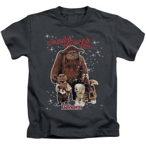 Labyrinth-Should You Need Us Short Sleeve Juvenile 18-1 Tee- Charcoal - Medium 5-6