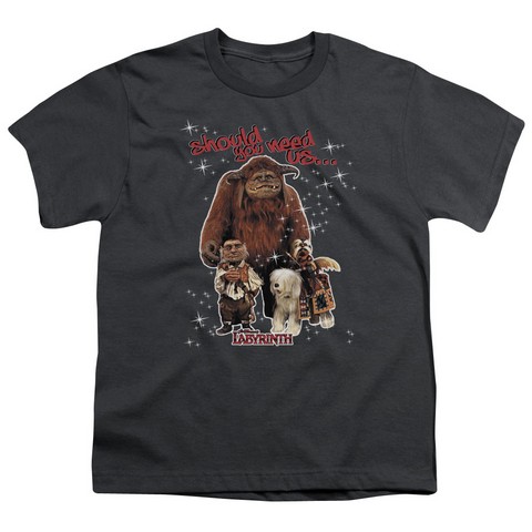 Labyrinth-Should You Need Us Short Sleeve Youth 18-1 Tee- Charcoal - Small