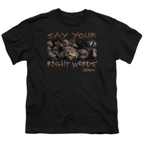 Labyrinth-Say Your Right Words Short Sleeve Youth 18-1 Tee- Black - Large