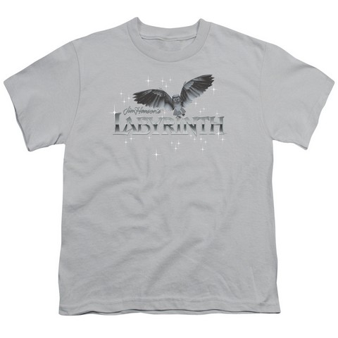 Labyrinth-Owl Logo Short Sleeve Youth 18-1 Tee- Silver - XL