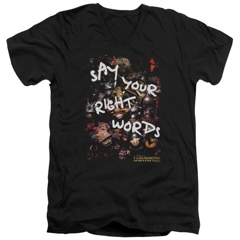 Labyrinth-Right Words Short Sleeve Adult V-Neck 30-1 Tee- Black - Small