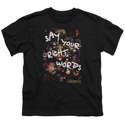 Labyrinth-Right Words Short Sleeve Youth 18-1 Tee- Black - Small
