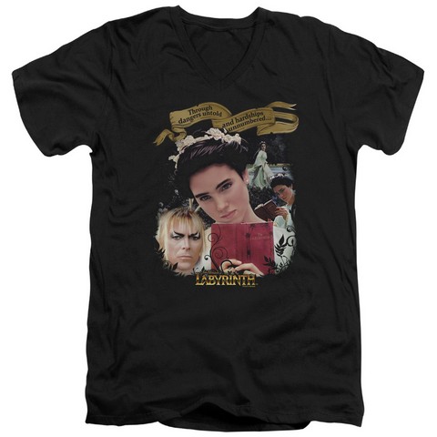 Labyrinth-Dangers Untold Short Sleeve Adult V-Neck 30-1 Tee - Black - Medium