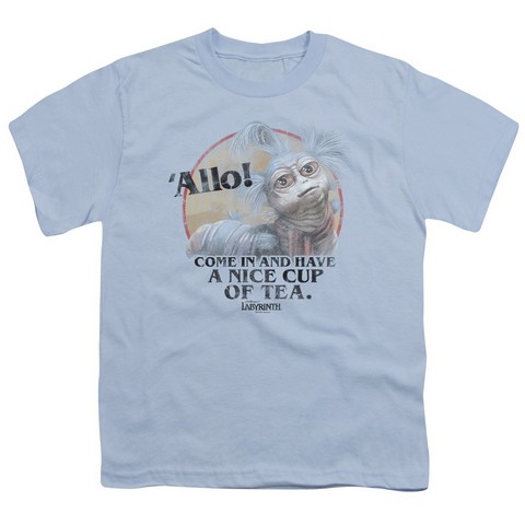 Labyrinth-Tea Short Sleeve Youth 18-1 Tee, Light Blue - Medium