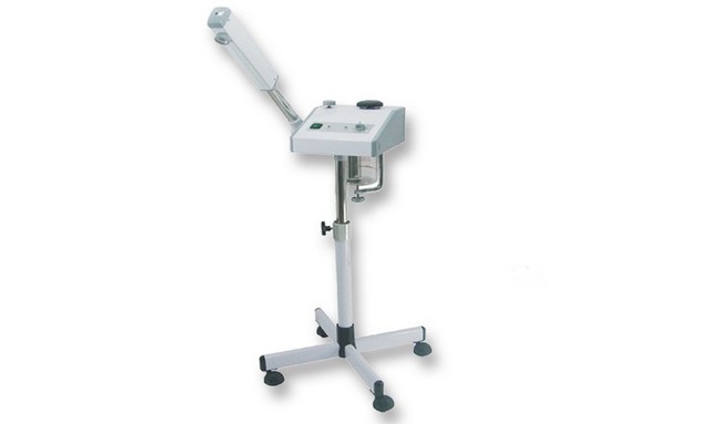 CSC Spa  Ozone Steamer with Aroma Therapy