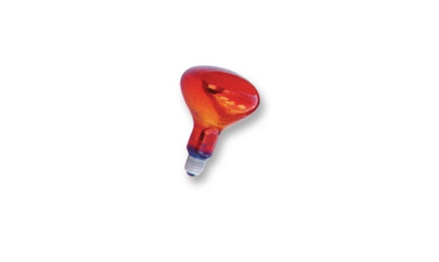 Picture of CSC Spa P-70 Sterilization Supplies - Infrared Bulb