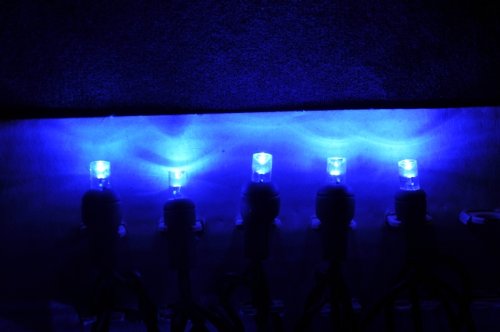 Kellogg Plastics LED Holiday Lights - Blue - 26 ft - Set of 20 Bulbs - Energy Efficient