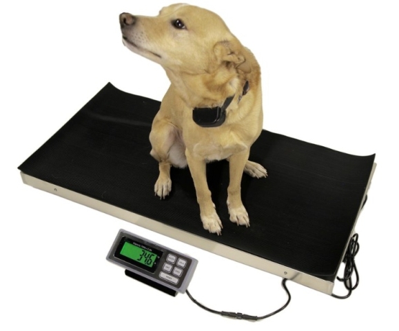Picture of Tree LVS700 Large Veterinary Scale- 700 x 0.2 lbs