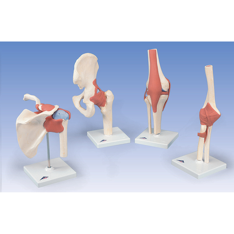 American  BBB214 Flexible Shoulder Joint