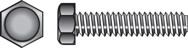 221004 0.25 x 2 in. Hex Tap Bolts