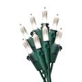 Celebrations 40830-71 Warm White LED Indoor & Outdoor 50 Mini Light Set Celebrations 40830-71 Warm White LED Indoor & Outdoor 50 Mini Light Set