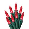 Celebrations 40833-71 Red LED Indoor & Outdoor 50 Light Set Celebrations 40833-71 Red LED Indoor & Outdoor 50 Light Set