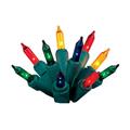 Celebrations 4121-71 Indoor Multi-Color Mini 20 Light Set Celebrations 4121-71 Indoor Multi-Color Mini 20 Light Set