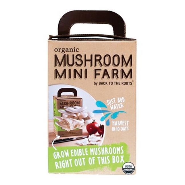 Back To The Roots 21200 0.52 oz Back To The Roots Garden In A Can Grow Organi...