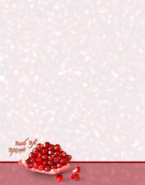 Nua Collection  Shana Tova Pomegranates Designed Paper - 50 per Pack
