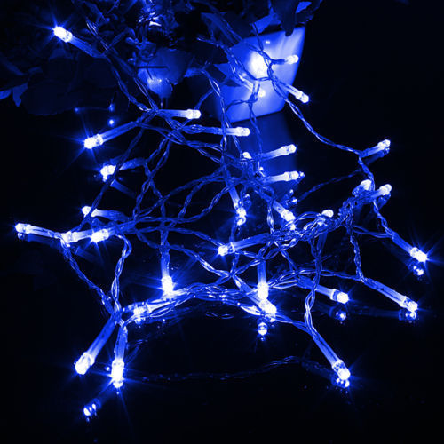 600023 Battery Operated 30 LED String Light - Blue