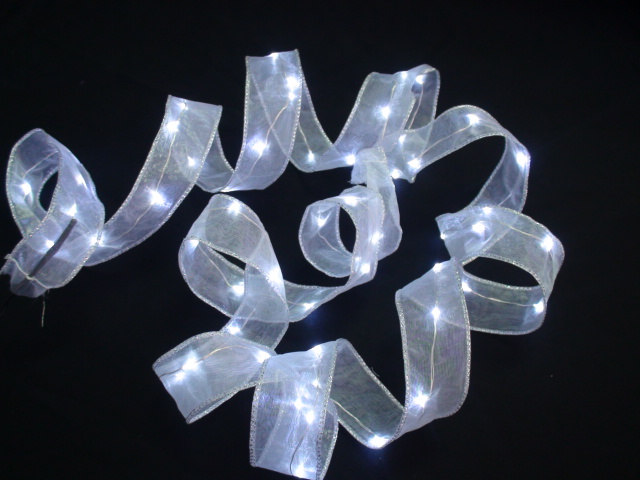 600046 Battery Operated Copper 20 LED Ribbon String Light - White