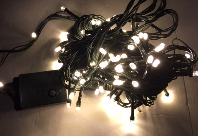 100 LED Green Cable String Light - Warm White