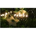 Perfect Holiday 600002 Battery Operated Copper 20 LED String Light - Warm White Perfect Holiday 600002 Battery Operated Copper 20 LED String Light - Warm White
