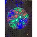 Perfect Holiday CC-100MT 100 LED Cherry Balls Light - Multicolor Perfect Holiday CC-100MT 100 LED Cherry Balls Light - Multicolor