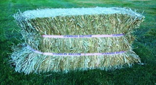 1200-20025-0-0 Premium Timothy Compressed Bale, 50 lbs