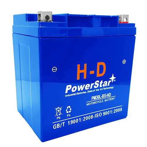 Picture of PowerStar PM30L-BS-HD-6410 Heavy Duty Battery for 2007-2011 Harley Davidson FL, FLH Series - Touring - 3 Years Warranty