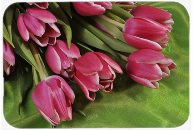 Picture of Carolines Treasures APH5048LCB Pink Tulips Glass Cutting Board, Large