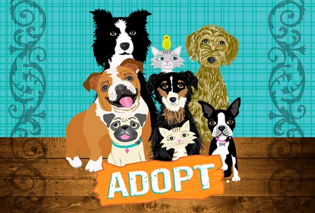 Picture of Carolines Treasures VHA3007PLMT Adopt Pets Adoption Fabric Placemat
