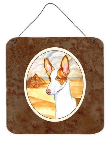 Ibizan Hound Wall or Door Hanging Prints
