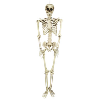 5 ft. Spooky Life Size Skeleton Indoor & Outdoor Halloween Decoration