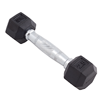 BDSRSDB025 2.5 lbs Rubber Encased Hex Dumbbell