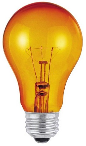 Picture of Westinghouse 344300 25 watt A19 Incandescent Light Bulb, Transparent Amber