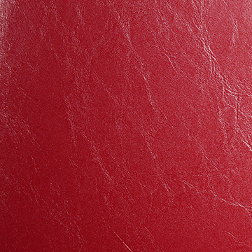 004 100 Percent Polyvinyl Chloride Fabric, Flame