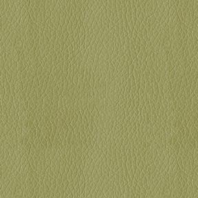 21 Contract Rated Upholstery Fabric , Meadow