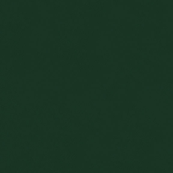 2009 Upholstery Vinyl Fabric, Yew Green
