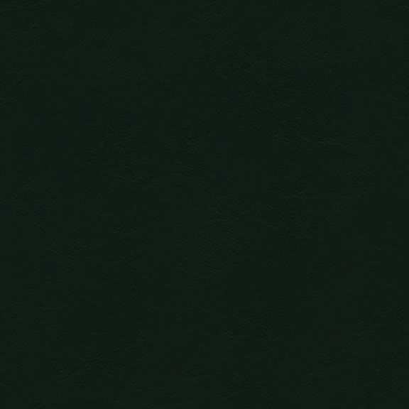 77 Upholstery Vinyl Fabric, Black