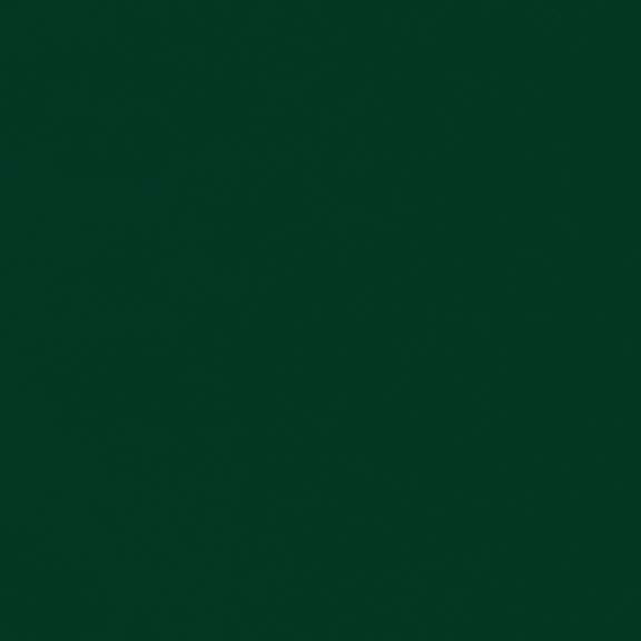 Spirit Millennium US 344 Contract Upholstery Vinyl & Fire Retardant Fabric, Forest